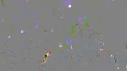 Peter Capaldi, nouveau Docteur Who