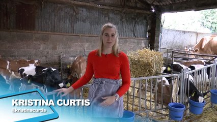 Made in Kent: Hinxden Farm Dairy