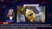 NASA's James Webb Space Telescope launch pushed to Christmas Eve - 1BREAKINGNEWS.COM