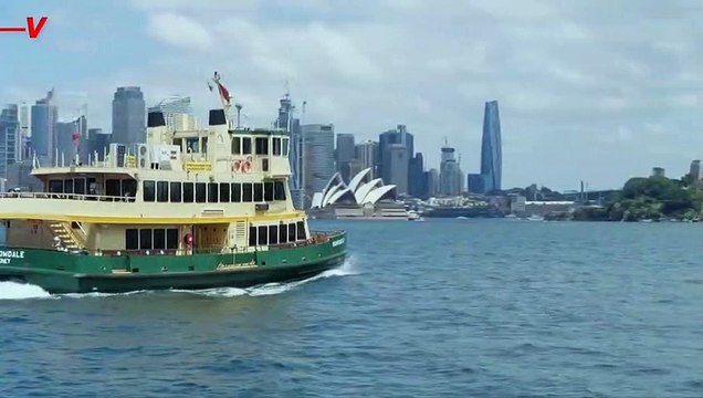 Taylor Swift-Themed Party Turns Into Covid Spreading Event