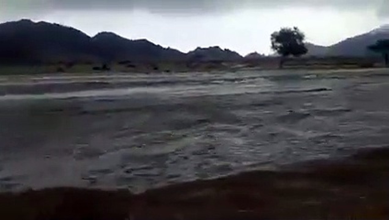 شاهد السيول والأمطار الغزيرة بوادى ايديب بمحمية...