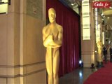 Le tapis rouge  des Oscars comme si vous y étiez!