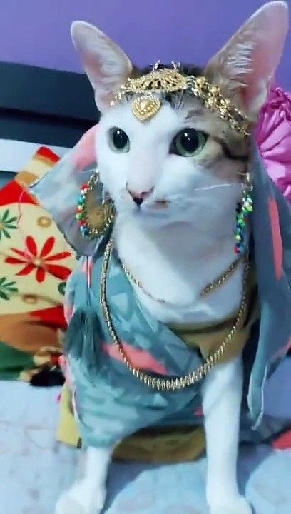 must watch new funny video 2021