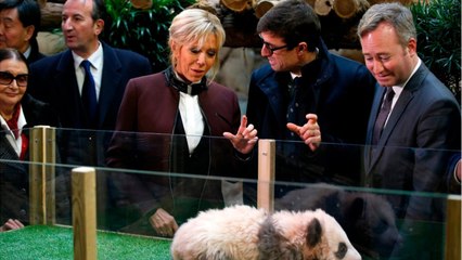 GALA VIDEO - Brigitte Macron : malgré la crise, la « diplomatie du panda " continue