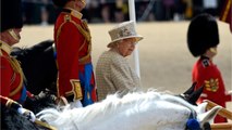 GALA VIDEO - Trooping The Colour : drame sous les yeux de la reine Elizabeth II