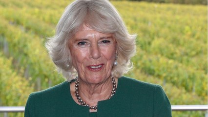 GALA VIDÉO - Mariage de Béatrice d'York : pourquoi Camilla ne devrait pas y mettre les pieds