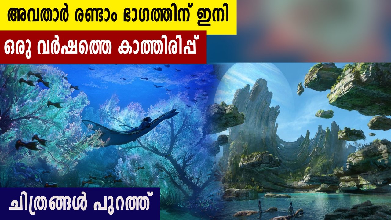 Avatar 2 Set Photos Reveal New Look At Sequel S Underwater