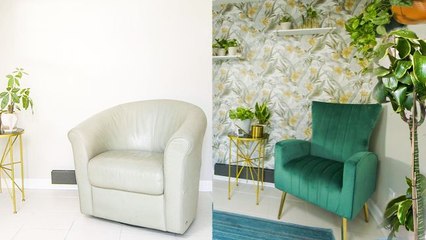 Creating An Indoor Jungle in 4 Hours