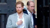GALA VIDEO Pourquoi Harry n’a pas intérêt à se fâcher avec son frère William ?