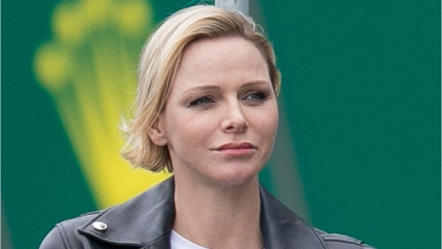 GALA VIDEO - Charlene de Monaco : Jacques et Gabriella trop mignons en train de nager avec des dauphins !