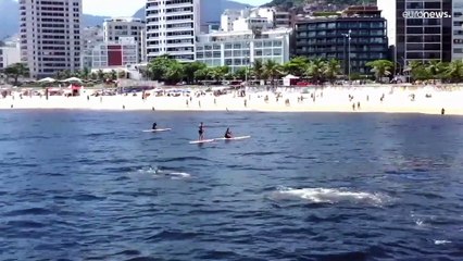 As orcas da Praia de Ipanema