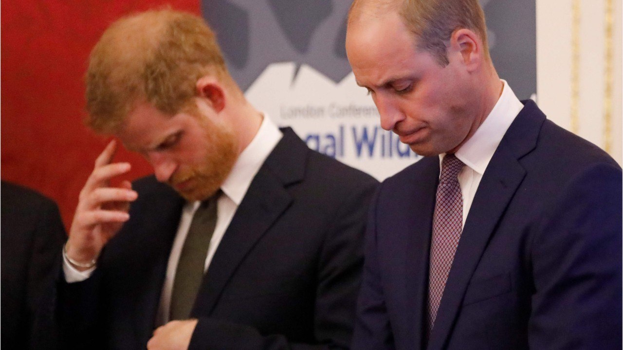 GALA VIDEO - William et Harry ont-ils trahi leur promesse à Diana ?