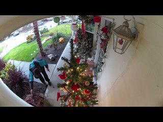 Delivery Driver Fixes Christmas Decorations after Storm