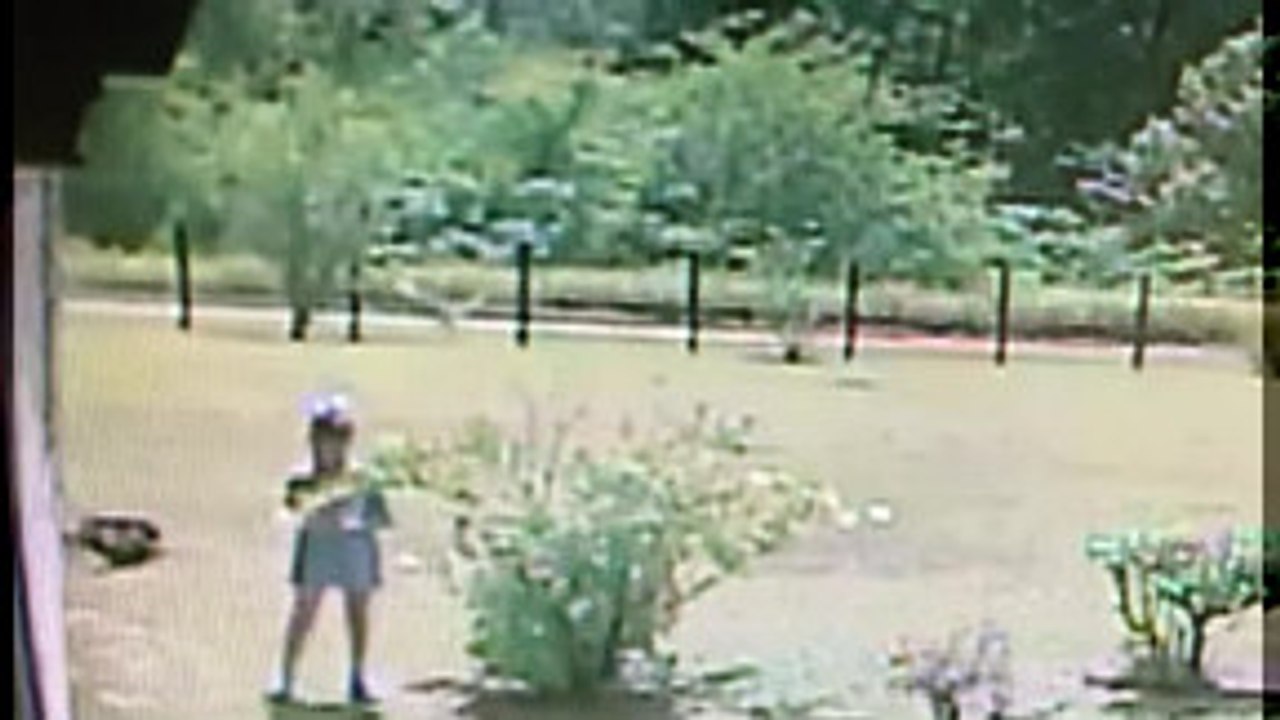 Zoomies Overturn Kid