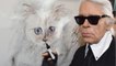 GALA VIDÉO - Choupette, la chatte de Karl Lagerfeld, signe un nouveau contrat