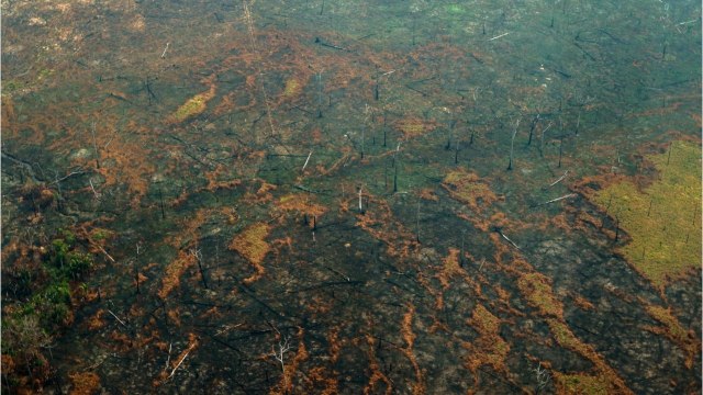 GALA VIDEO - Brigitte Macron attaquée sur son âge : ce commentaire déplacé du président brésilien qui enflamme la toile