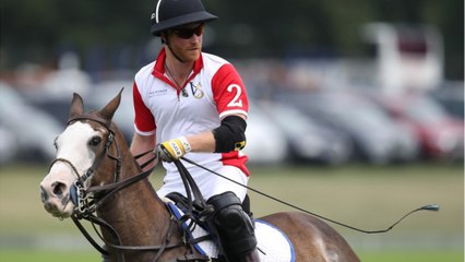 GALA VIDEO - Les photos de William et Harry, un coup de communication savamment "orchestré" ?