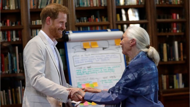 GALA VIDEO - Le prince Harry dévoile ses talents de danseur… et d’imitateur !