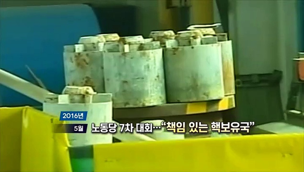 [영상구성] 김정일 10주기…김정은 집권 이후엔 무슨 일이?