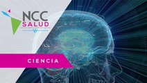¿Sabes qué pasa en el cerebro cuando hay una crisis epiléptica?