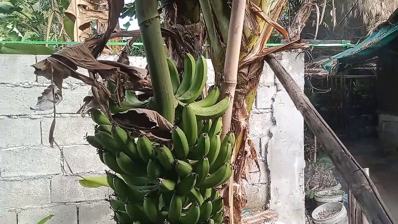 Buhay Probinsya