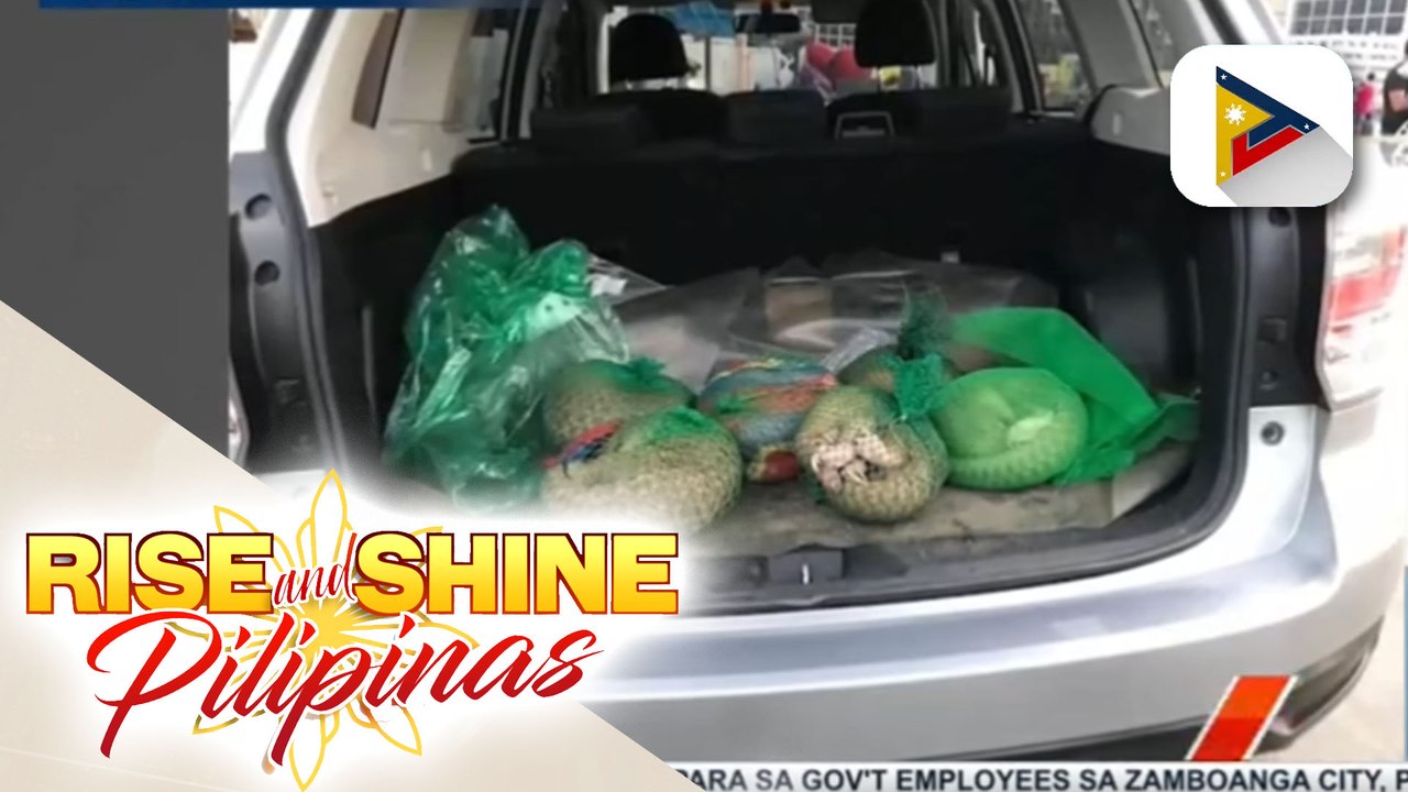 2 lalaki na sangkot sa ilegal na bentahan ng mga pangolin, arestado sa Pasay