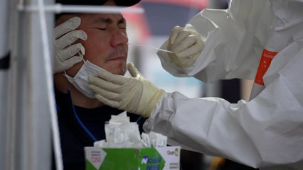 Strangers in Gangneung [YTN documentary] / YTN