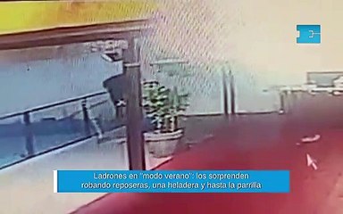 Ladrones en "modo verano": los sorprenden robando reposeras, una heladera y hasta la parrilla