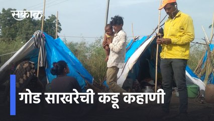 Sugarcane Worker Story | गोड साखरेची कडू कहाणी | Maharashtra Sugarfactory | farmer | Sakal Media