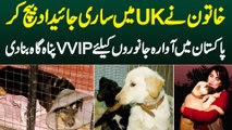 UK Me Sari Property Bech Kar Pakistan Me Street Animals Ke Liye VVIP Panah Gah Banane Wali Khatoon