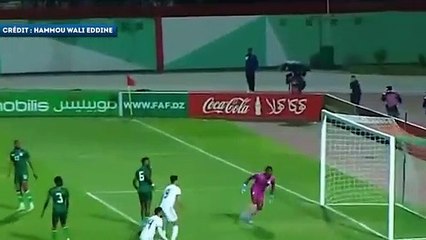 Les buts somptueux de Youcef Belaïli au Qatar