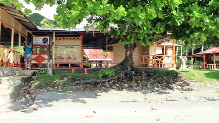 Relaxing Music & Bird Sounds _ Peaceful Music, Meditation Music, Study Music _8d music