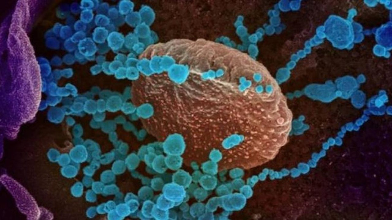 Can Omicron trigger a third Covid wave in India?