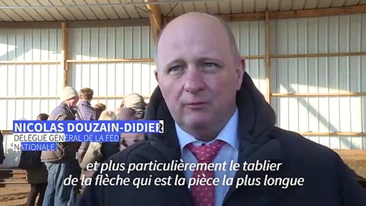 En Mayenne, sciage d'un chêne destiné à rebâtir...