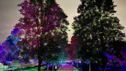 What do you like do in Bristol during the festive period?