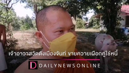 วิกฤตการเงินเจ้าอาวาสวัดเมืองจันท์ จำใจประกาศขายควายเผือกคู่ใช้หนี้ | ชนคลิปข่าว 17/12/64 เดลินิวส์