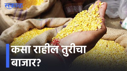 Agriculture Story l देशातील तूर उत्पादनात मोठी घट? l Tur Dal l Sakal