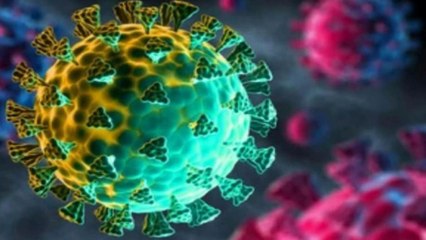 Omicron: 130 back from abroad missing in Moradabad