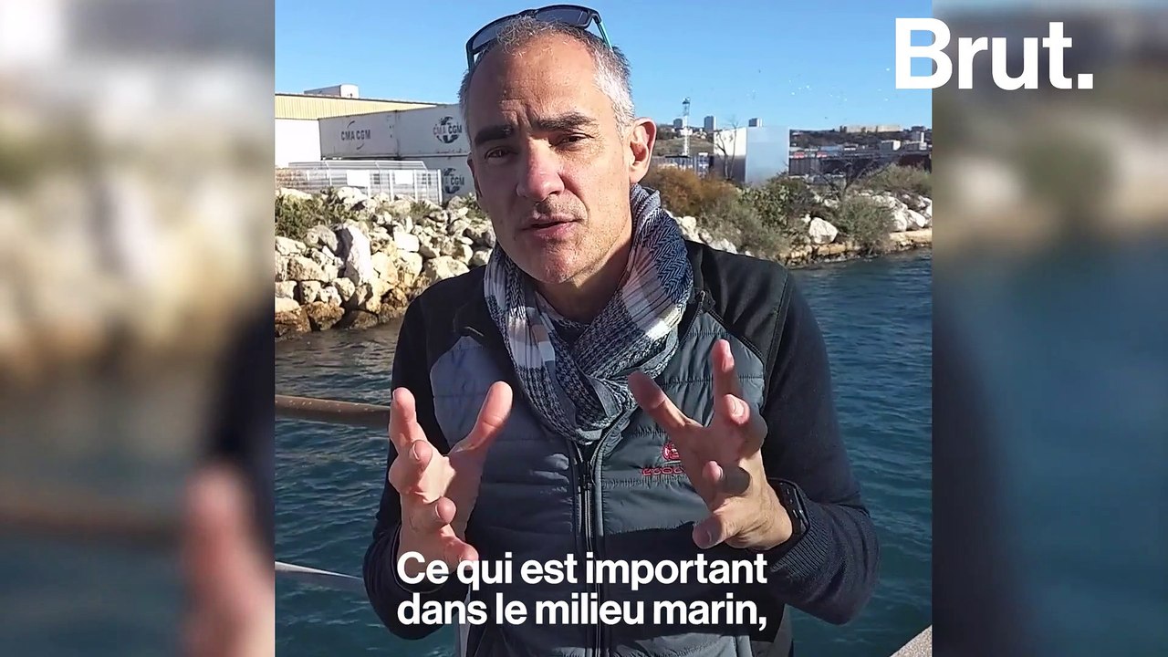 Des abris artificiels pour protéger les poissons dans les ports
