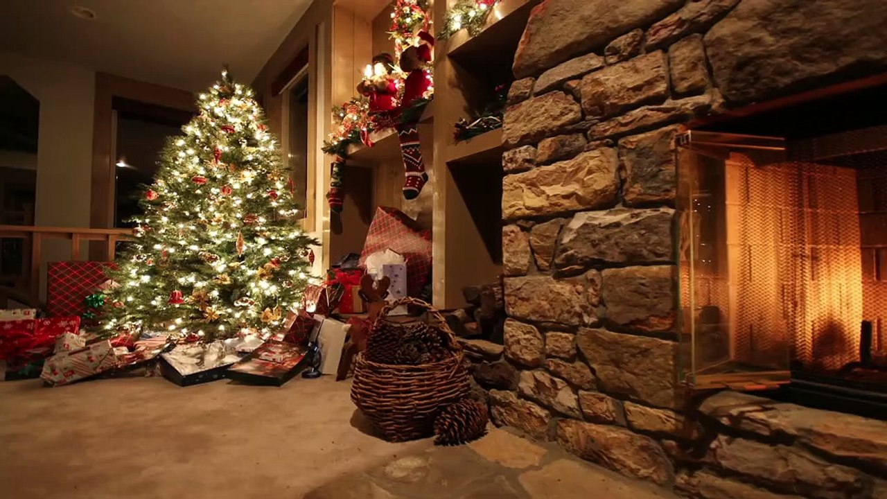 Die besten Tipps zum Weihnachtsbaumtransport