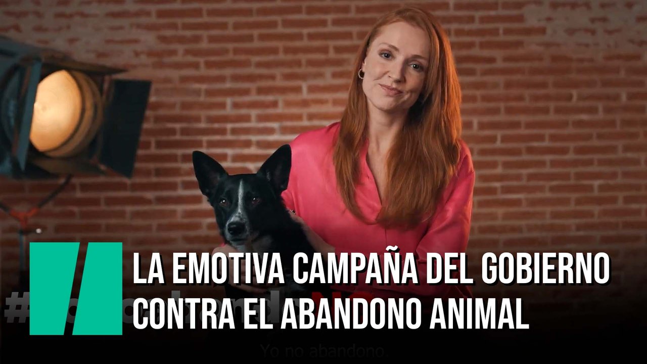 Yo no te abandono