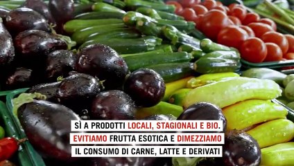 Dieci consigli per un Natale più sostenibile