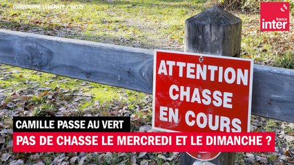 Une pétition pour interdire la chasse les mercredis et dimanche