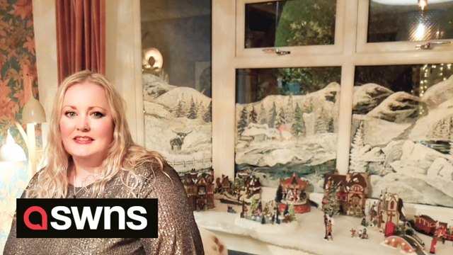 A creative woman has decorated her windows with a stunning winter snow scene - painted completely freehand