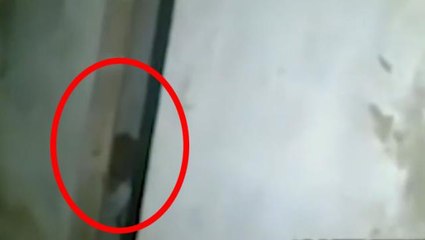 Dünya bunu konuşuyor! Terk edilmiş evde kapı aralığından bakan yaratık görenleri ürküttü