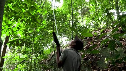 En Colombie, le sombre crépuscule des nomades Nukak