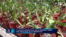 “El vivero es referente en el país en orquídeas y bambú”