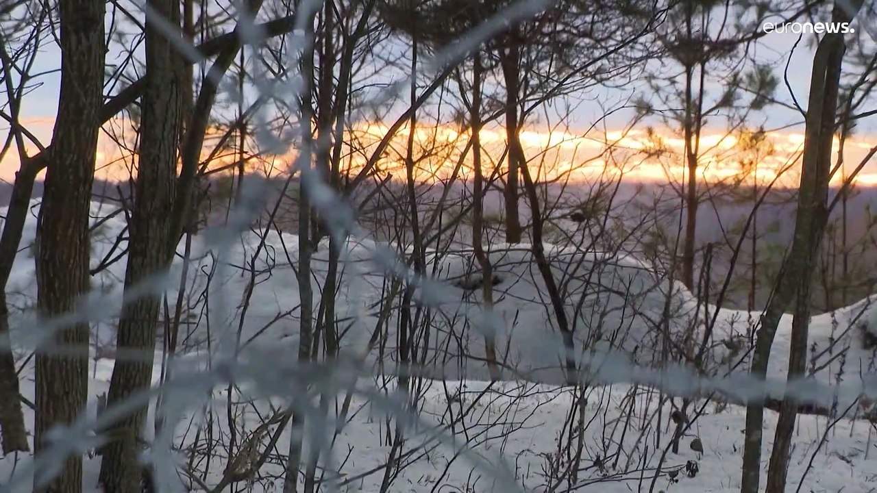 Mehr illegale Übertrittsversuche aus Belarus - Wird Lettland das neue Polen?