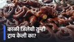 Pune: काळी जिलेबी तुम्ही ट्राय केली का? | Black jalebi | food lovers pune | Pune food | Sakal Media