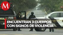 Hallan tres cuerpos maniatados en Zuazua, Nuevo León